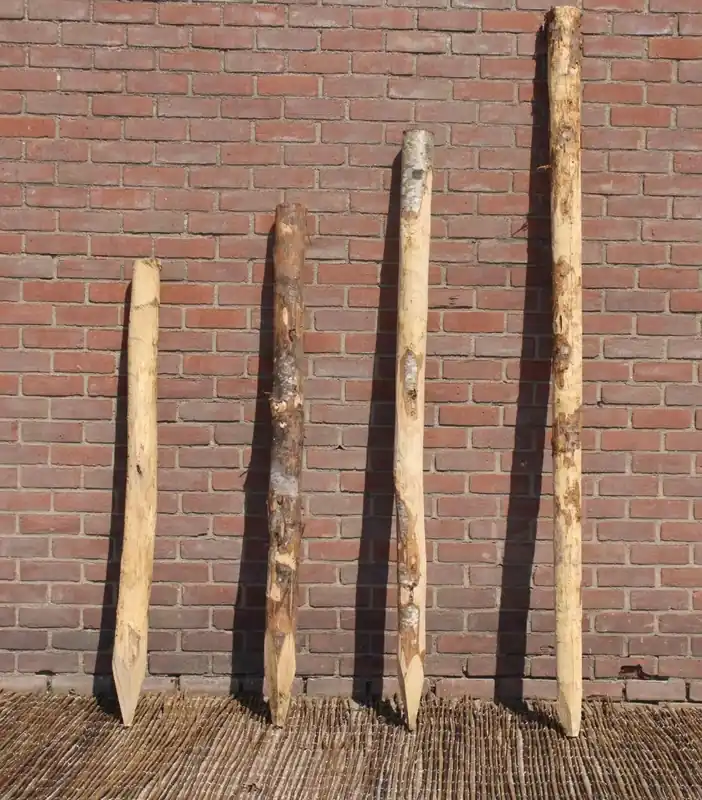 Kastanje paal Ø 6/8 CM | Premiumkwaliteit