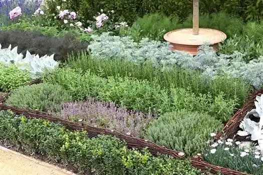 Prijsverlaging - Borderpakket theeplanten - Geurig kruidenpatroon