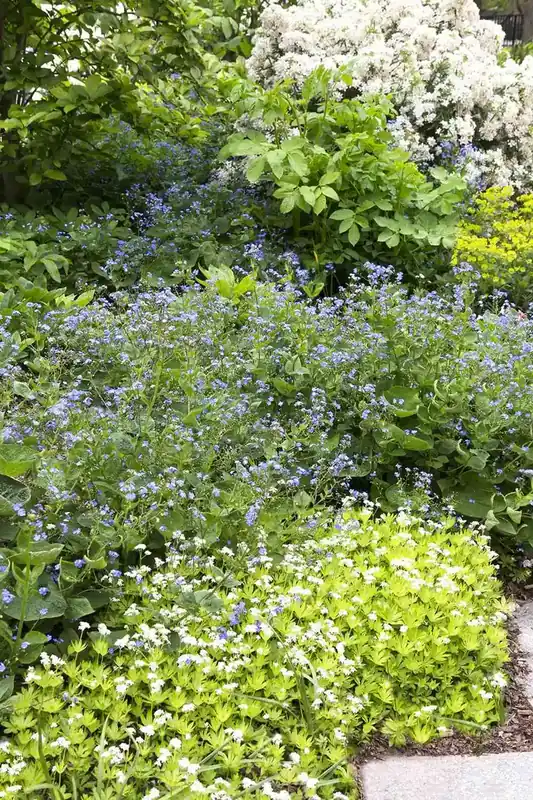 Borderpakket Schaduw in Blauw en Wit (3 M²) | Wees er snel bij