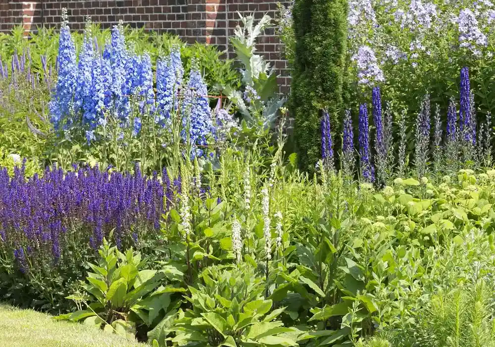 Net gelanceerd - Borderpakket Zomer in Blauw, Violet en Wit (2 M²)