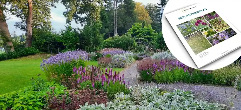 Scherpe prijs | Beplantingsplan op maat