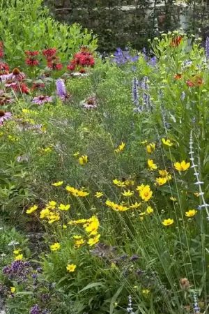 Zeer goed beoordeeld | Compleet Borderpakket Vlindertuin met groeigarantie!