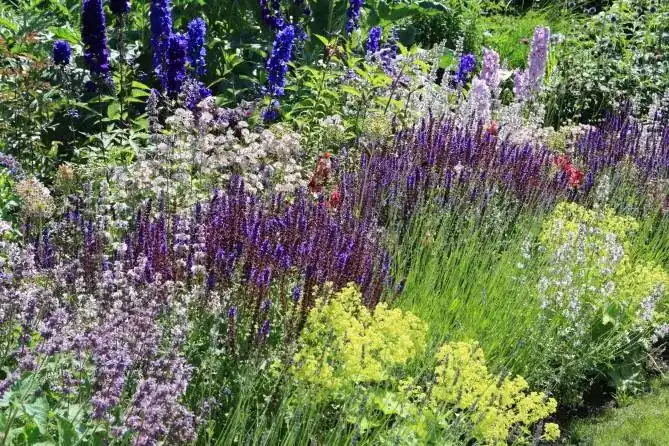 Borderpakket Zomer in Blauw en Groengeel (2 M²) - Topprijs