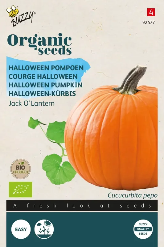 Online kopen - Pompoen Jack O‘Lantern (BIO)