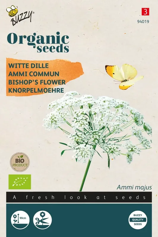 Ammi Majus, Witte Dille (BIO) - Koopje
