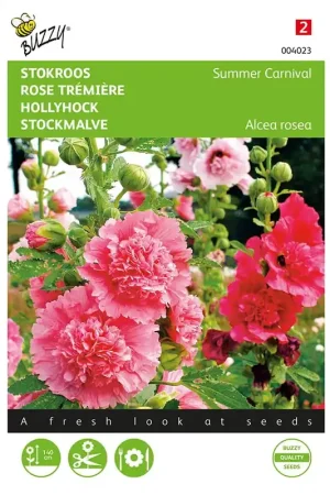 Althaea, Stokroos Summer Carnival | Scherp geprijsd