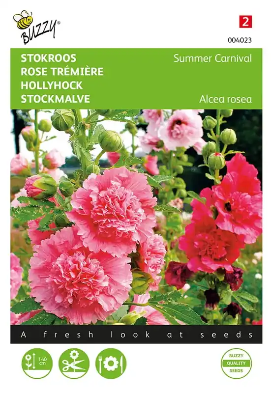 Althaea, Stokroos Summer Carnival | Scherp geprijsd