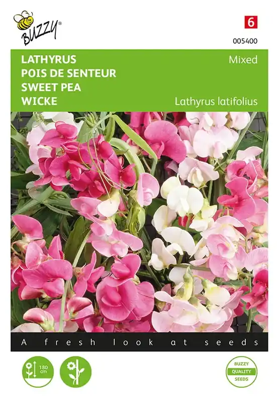 Alleen deze week | Lathyrus, Sier- of Reukerwt meerjarig