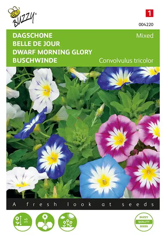 Klaar voor verzending | Convolvulus, Dagschone gemengd