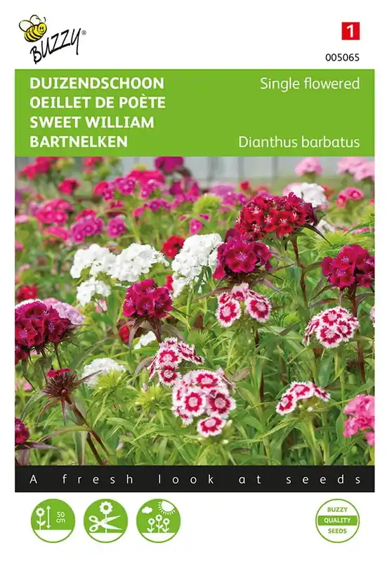 Dianthus, Duizendschoon enkelbloemig gemengd - Bijna uitverkocht