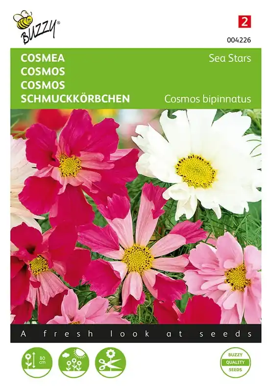 Verlaagde prijs | Cosmos, Cosmea Sea Stars gemengd