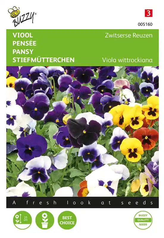 Extra voordeel | Viola, Viool Zwitserse Reuzen gemengd
