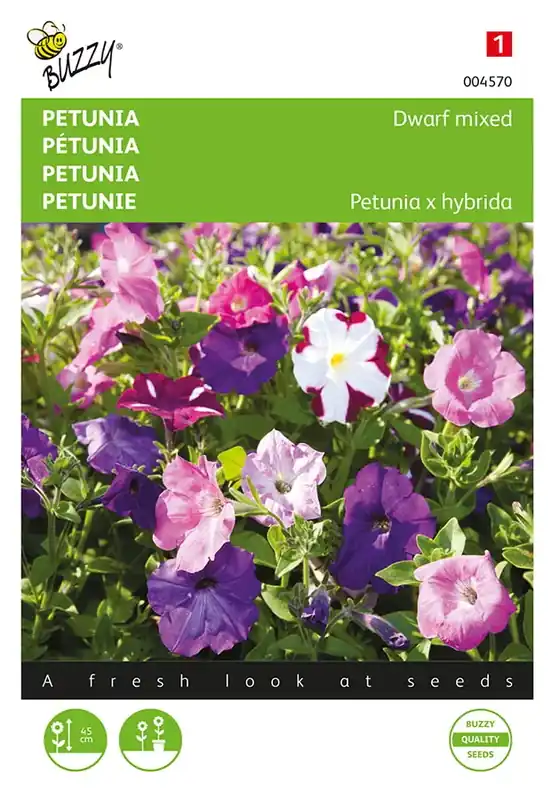 Lage prijs | Petunia laag gemengd