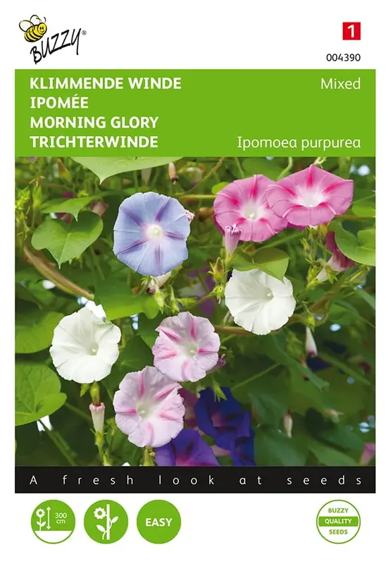Actieprijs | Ipomoea, Klimmende winde gemengd