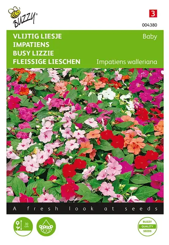 Impatiens, Vlijtig Liesje Baby gemengd - Meest verkocht