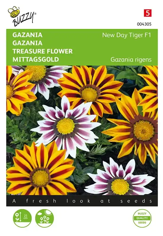 Gazania New Tiger F1 gemengd | Professionele kwaliteit