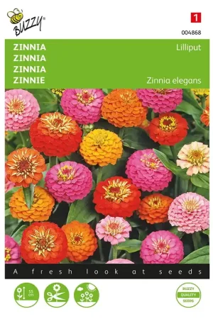 Zinnia Lilliput gemengd - Alleen deze week