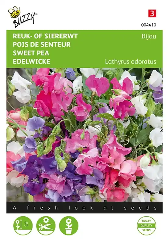 Lathyrus, Reuk- of siererwt Bijou - Direct beschikbaar