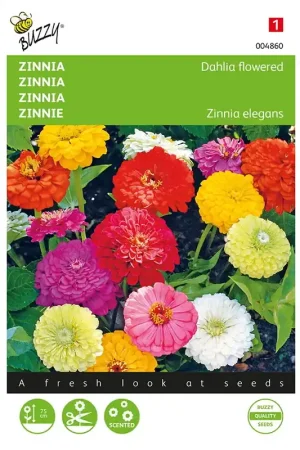 Zinnia Dahliabloemig gemengd | Professionele kwaliteit