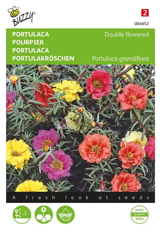 Portulaca dubbelbloemig gemengd - Favoriet van klanten
