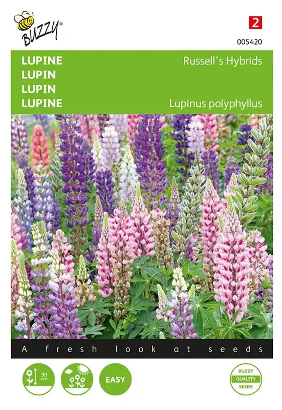 Lupine Russell’s Hybrids gemengd - Bespaar nu