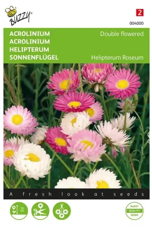 Acroclinium dubbelbloemig gemengd - Nu beschikbaar