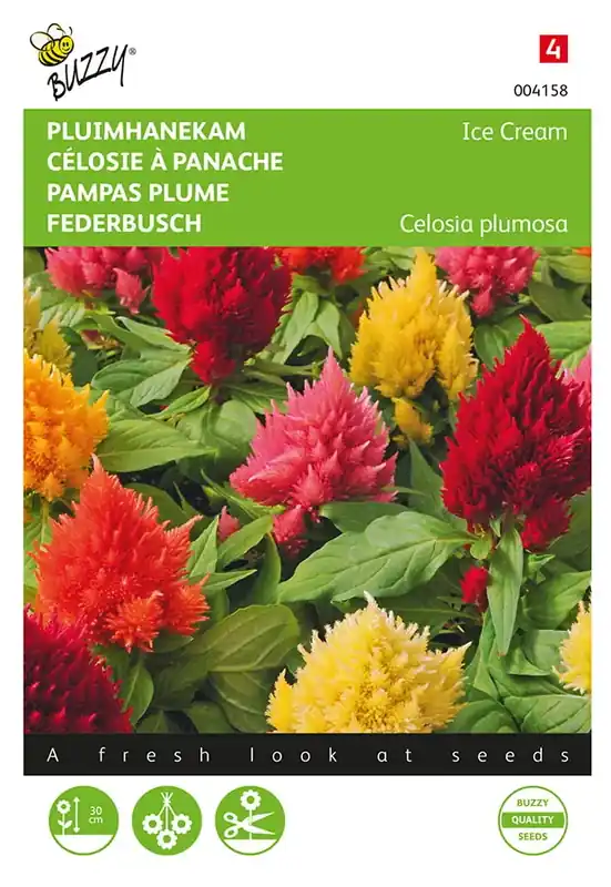 Celosia, Pluimhanekam Ice Cream gemengd | Net binnen
