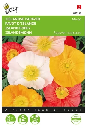 Zeer goed beoordeeld - Papaver, IJslandse Excelsior gemengd
