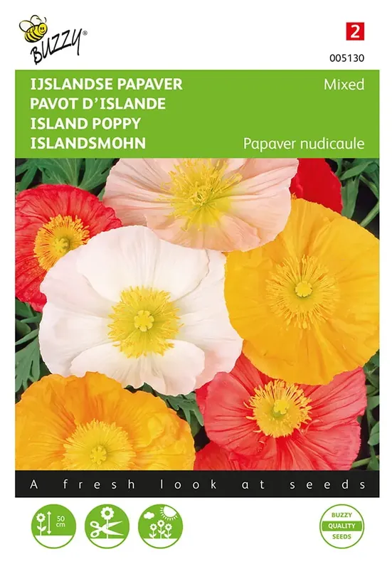 Zeer goed beoordeeld - Papaver, IJslandse Excelsior gemengd
