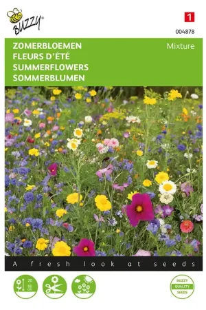 Zomerbloemen gemengd | Veilige betaling