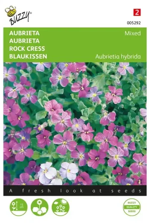 Aubrieta Grandiflora gemengd - Topkwaliteit