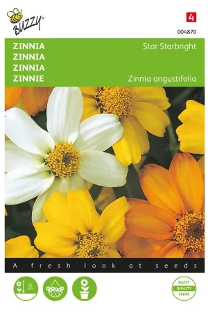 Zinnia Star Starbright gemengd | Fabrieksprijs