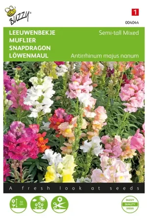 Antirrhinum, Leeuwenbekje half-hoog gemengd | Klaar voor verzending