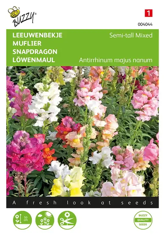 Antirrhinum, Leeuwenbekje half-hoog gemengd | Klaar voor verzending