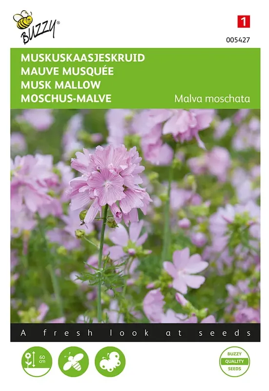 Sale | Malva, Muskuskaasjeskruid roze