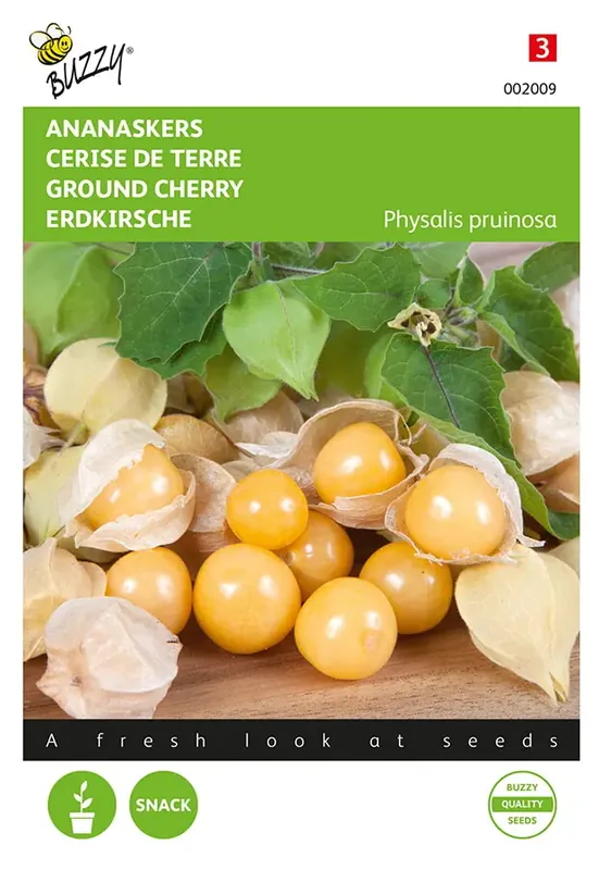 Extra korting - Ananaskers Physalis pruinosa