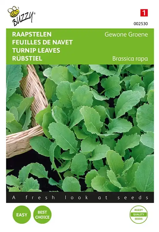 Prijs verlaagd - Raapstelen Groene