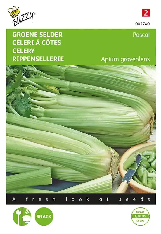 Bleekselderij Pascal, Groene Volpijp - Actieprijs