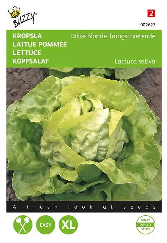 Kropsla Dikke Blonde Traagschietende | Actieprijs