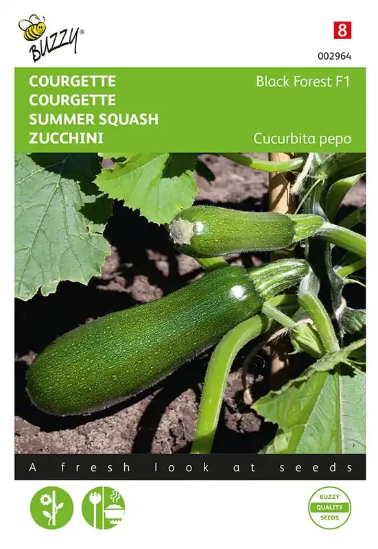 Scherpe prijs | Courgette Klimmend Black Forest F1
