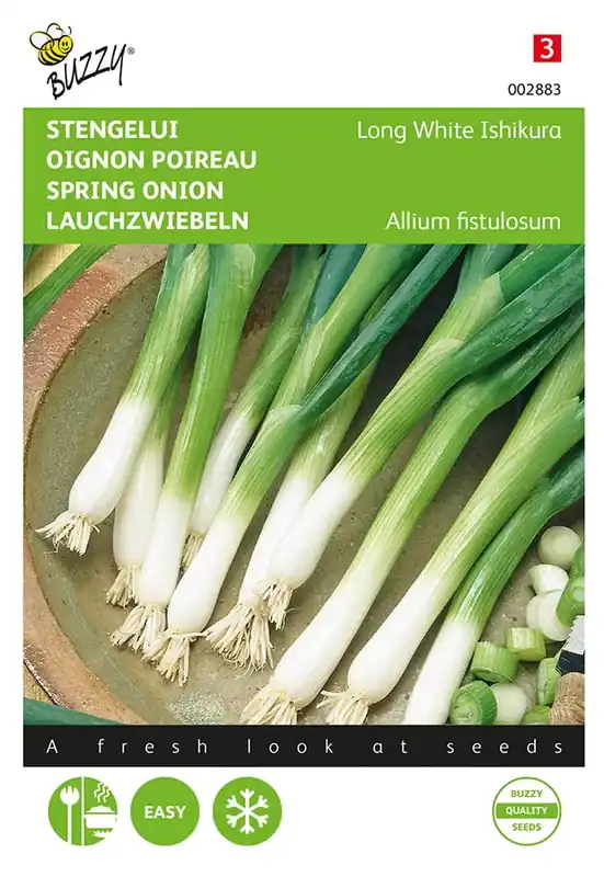 Stengelui Ishikura - Laatste dagen