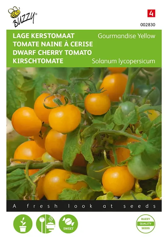 Bespaar nu | Tomaten Gourmandise (gele cherry patio)
