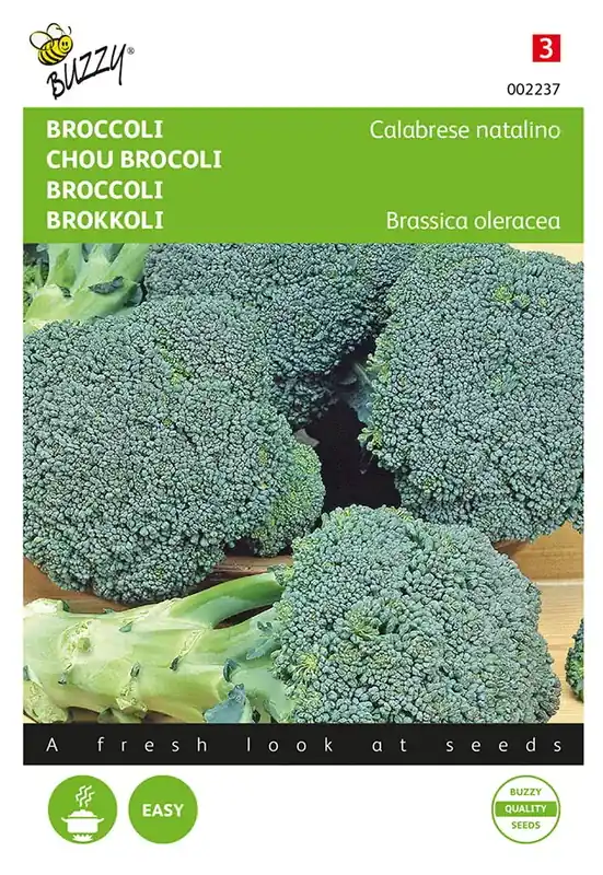 Direct kopen - Broccoli Calabrese natalino, groen