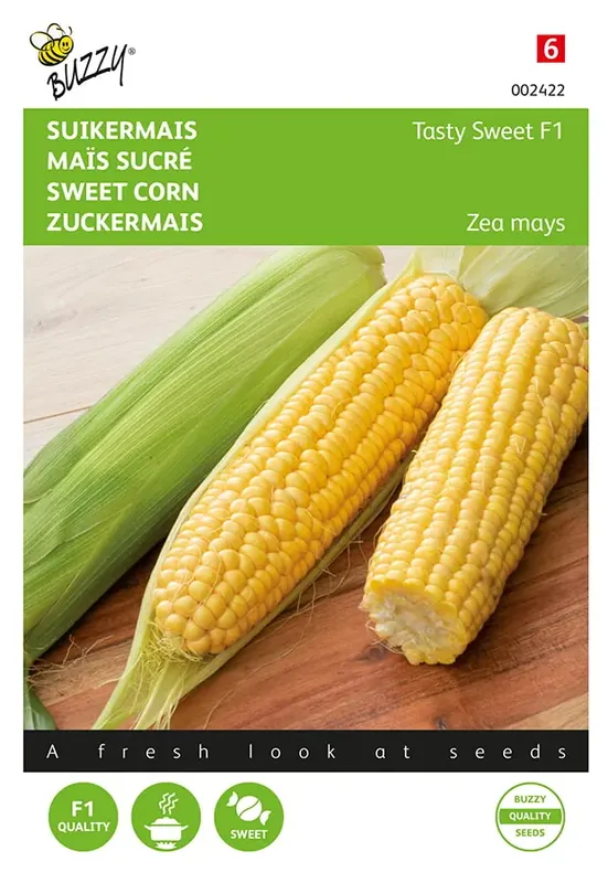Alleen deze week | Suikermais Tasty Sweet F1