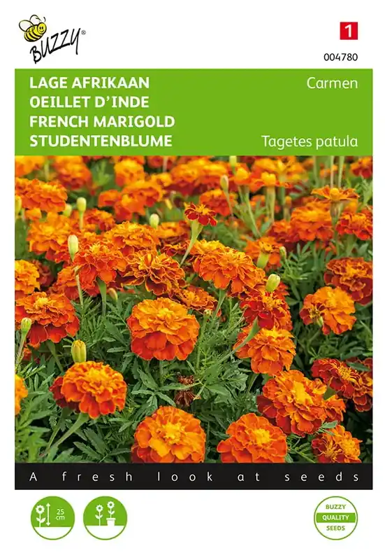 Nog maar een paar beschikbaar | Tagetes, lage Afrikaan Carmen