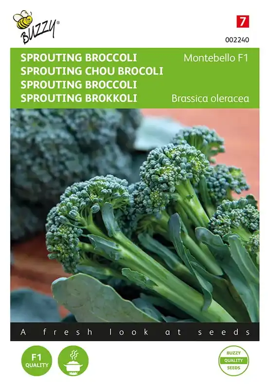 Eenvoudig retourneren | Sprouting Broccoli Montobello F1