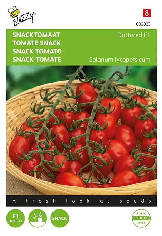 Snacktomaat Dattored F1 | Scherpe prijs