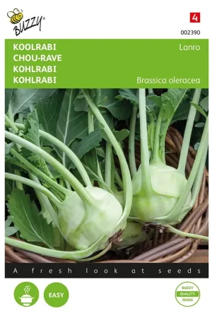Actieprijs | Koolrabi Lanro