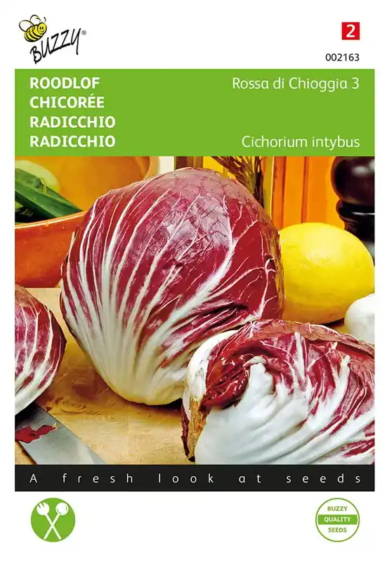 Roodlof Rossa di Chioggia 3 - Bestel nu