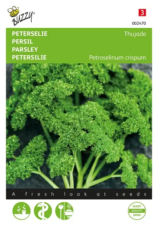 Peterselie Thujade, donkergroene - Uitverkoop
